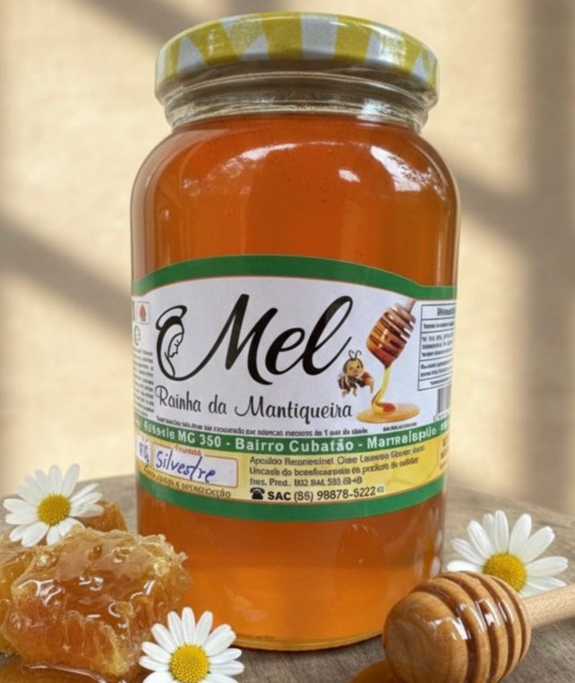 WhatsApp Image 2026-02-08 at 20.23.06.jpeg